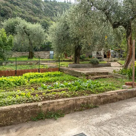 Casa Lina