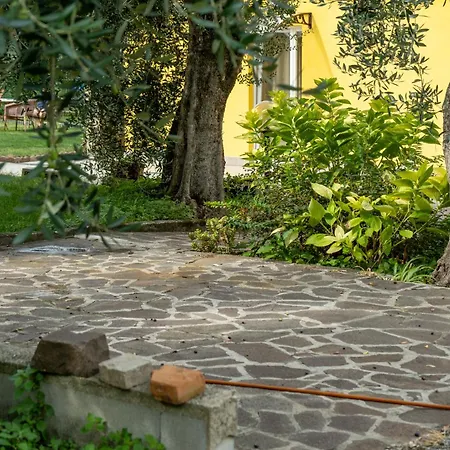 Appartement Casa Lina *